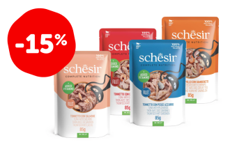 SCHESIR
