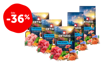 ONTARIO