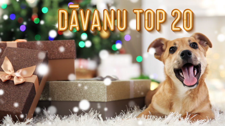 Iepriecini savu mīluli! Dino Zoo dāvanu TOP 20