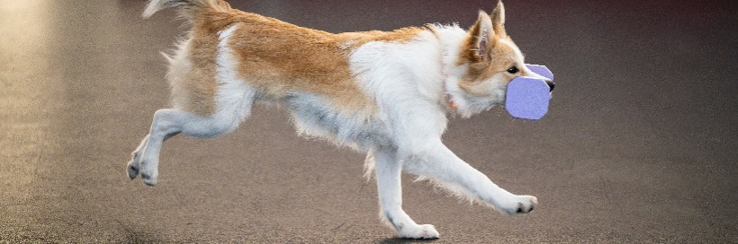 Хендлинг
