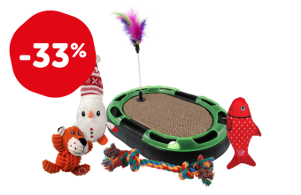 DOG FANTASY un MAGIC CAT