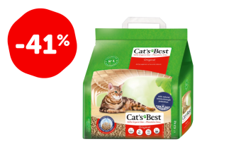 CAT`S OKO 