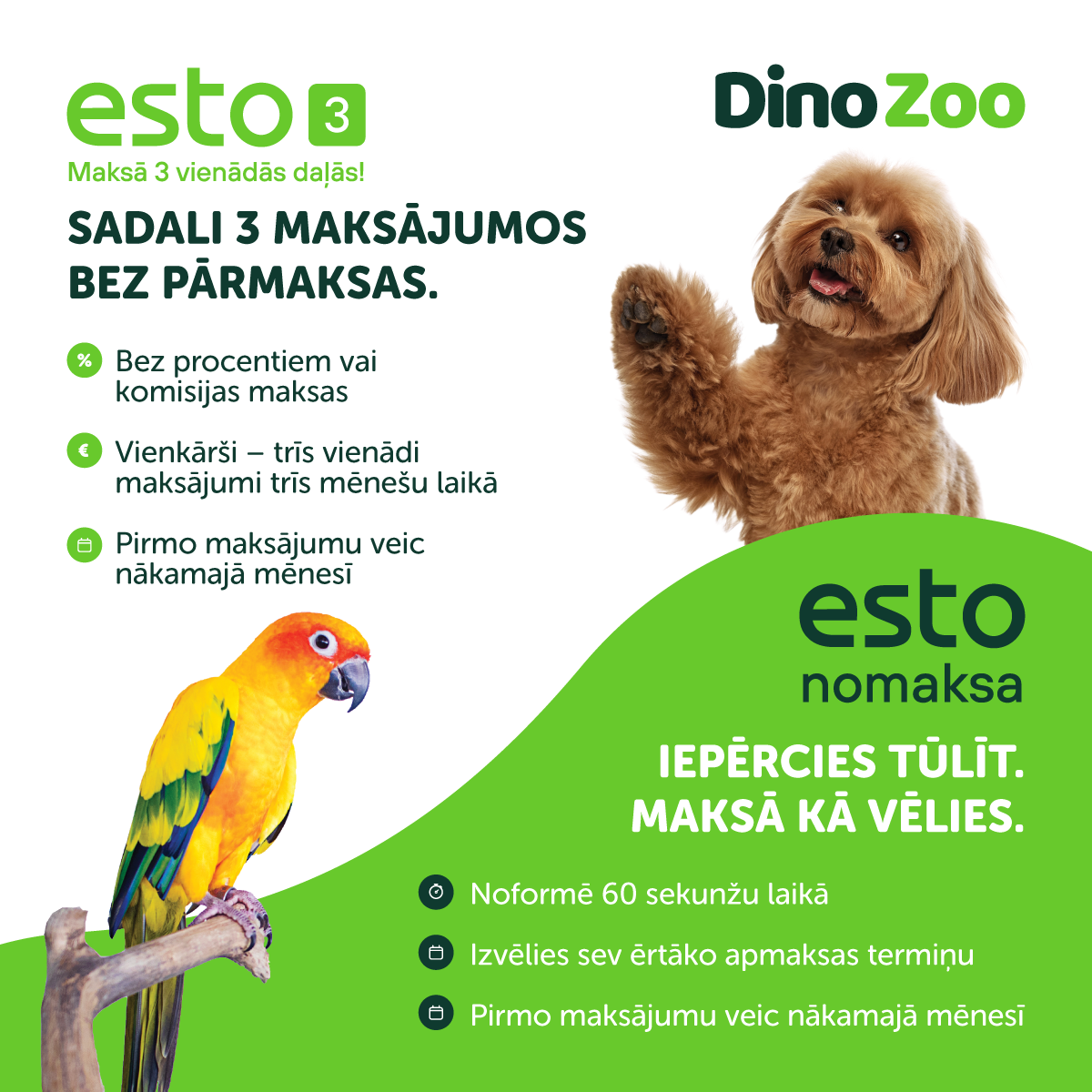 dino zoo un esto piedavajums